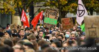 New GCSE qualification to be launched to help protect the planet - Hull Live