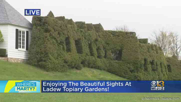 Where’s Marty? Checking Out The Greenery & Scenery At Ladew Topiary Gardens