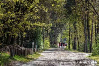 Kempens Landschap koopt 3 nieuwe bospercelen in Geel-Bel aan - Nnieuws.be