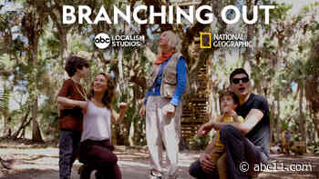 Into the Forests: Branching Out Part 1