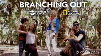 Into the Forests: Branching Out Part 1