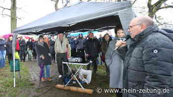 Bürgerinitiative gegen Baumfällungen: Wohnbebauung soll verhindert werden - Koblenz & Region - Rhein-Zeitung