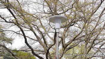 Koblenzer Rheinanlagen: Wie viel Licht ist wirklich nötig? - Rhein-Zeitung