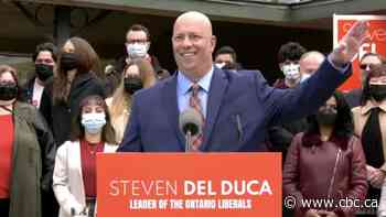 Competition for Hamilton East-Stoney Creek heating up as Coun. Farr joins the race