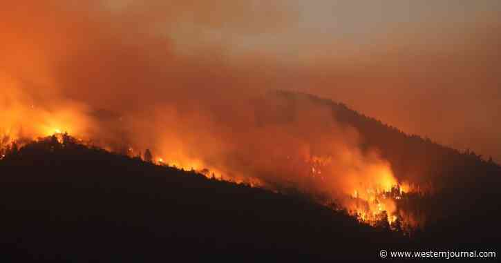 Californians at Mercy of Wildfire Season After True Scope of Newsom's Failure Becomes Apparent
