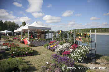 Guastalla, tanti visitatori per il ritorno di Georgica. VIDEO - Reggionline