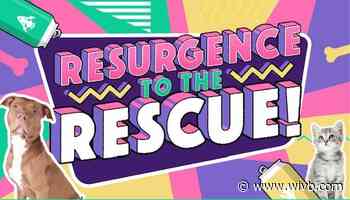 How you could see your pet on a beer can, while helping local animals