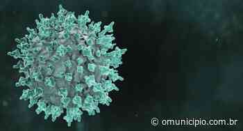 Após quase um mês sem óbitos, Brusque registra morte associada ao coronavírus - O Município
