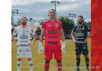 Novas camisas do Brusque FC 2022 Finta - Notícias Mantos do Futebol