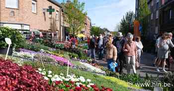 Plantenbeurs van voor aanvang groot feest: “Goed om terug te zijn” - Het Laatste Nieuws