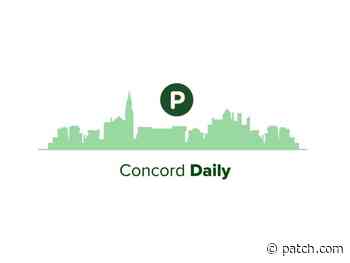 🌱 Concord Daily: District 2 Executive Council Seat To Have A Primary - Patch
