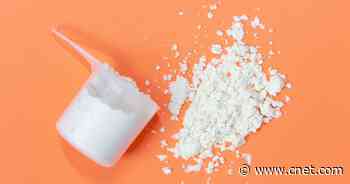 Best Protein Powders for Women     - CNET