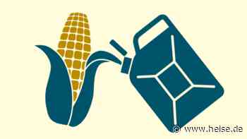 Kein Essen in den Tank! - Telepolis