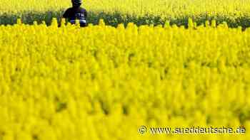 Wetter - Essen - Sonniger Wochenstart in Nordrhein-Westfalen - Panorama - Süddeutsche Zeitung - SZ.de