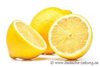 Für Gennaro Contaldo gehört die Zitrone zu einem guten Essen dazu - Gastronomie - Badische Zeitung