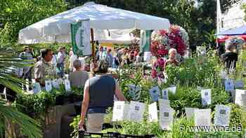 Grugapark Essen: Markt mit seltenen Pflanzen startet wieder - WAZ News
