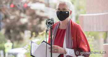 N.B. lieutenant-governor ruling unlikely to survive appeal: constitutional expert