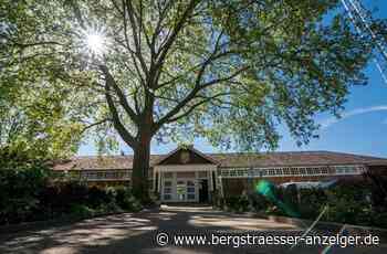 Eine Schwimmbadsaison in Heppenheim wie vor der Pandemie - Heppenheim - Nachrichten und Informationen - Bergsträßer Anzeiger
