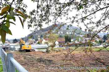 „Es darf hierbei keine Gegner geben“ - Heppenheim - Nachrichten und Informationen - Bergsträßer Anzeiger