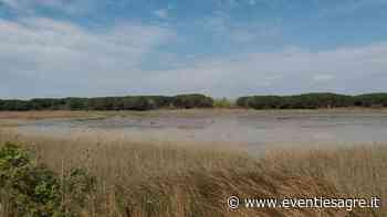 Camminata Dell'ecobenessere A Vallevecchia a Caorle | 2022 | (VE) Veneto | eventiesagre.it - Eventi e Sagre
