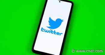 Apollo Global is reportedly thinking about participating in a Twitter bid     - CNET