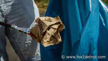 Detroit Shipping Co. seeks volunteers for Cass Corridor Neighborhood Cleanup this weekend - FOX 2 Detroit