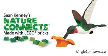 630 CHED supports Nature Connects at the Edmonton Valley Zoo - Edmonton | Globalnews.ca - Global News