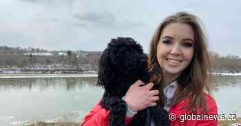 ’12-pound hero’: Dog barks for help after woman falls down Edmonton river valley embankment - Global News