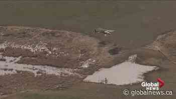 Edmonton learning more about how many mosquitoes the city should brace for this summer - Global News