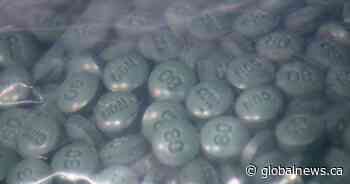 Saskatoon Board of Police Commissioners to discuss drug decriminalization