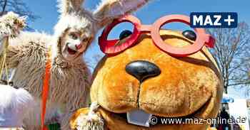 Rathenow: Zum Traumstart in die neue Optikparksaison kamen 1500 Besucher - Märkische Allgemeine Zeitung