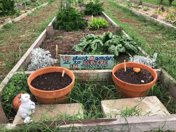 How you can celebrate Earth Day in Central Texas