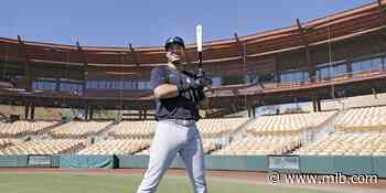 Yankees Mag: The Education of Austin Wells - MLB.com