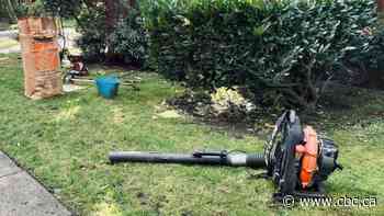 Calgarians petition for leaf-blower ban to cut down on noise, air pollution