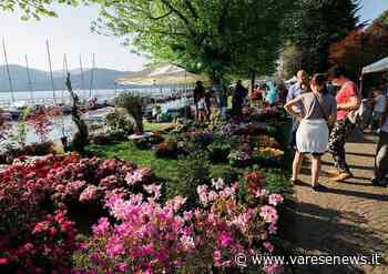 A Ispra torna Infiorita - varesenews.it