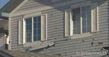 Calgary city committee to decide future of Resilient Roofing Rebate program