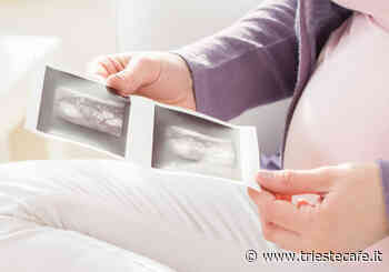 "Aborti spontanei, possibile che a Trieste non ci sia un posto per seppellire una piccola anima spezzata?" - triestecafe.it