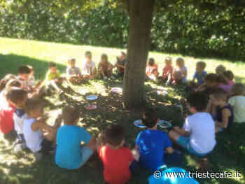 575 posti in più per i centri estivi di Trieste che complessivamente potranno arrivare ad ospitare quasi 3500 presenze - triestecafe.it