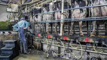 Buying a farm to become easy under proposed loan guarantee scheme