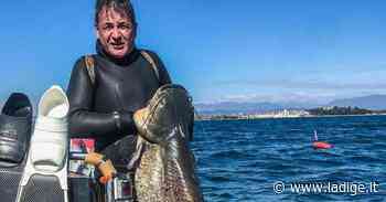 Il pesce siluro è arrivato nel Garda: primo esemplare catturato - l'Adige
