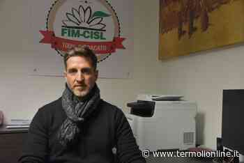 Termoli: «Vogliamo tempi certi sulla realizzazione della Gigafactory a Termoli» - Termoli Online