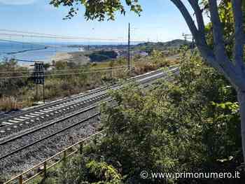 Ferrovia adriatica, aggiudicati i lavori (anche) per il raddoppio della Termoli-Ripalta - Primonumero