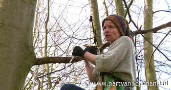 Leerling-actievoerders de boom in: 'Iedere boom die gekapt wordt, is er één te veel' - Hart van Nederland