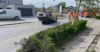 Automobiliste over kop na botsing tegen boom in Oostnieuwkerke - Het Laatste Nieuws