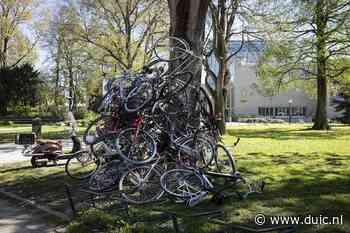 Boom opgetuigd met fietsen op het Lucasbolwerk in Utrecht - De Utrechtse Internet Courant