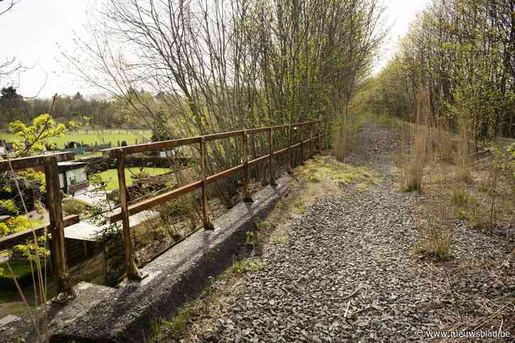 Rietbroek woont maar wat graag onder een oude talud: “Welkom in het Bokrijk van Herentals”