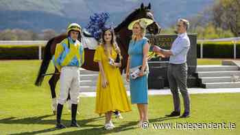 Back to the good times at Killarney race course - Independent.ie