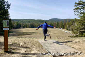 Cranbrook's Casey Hanemayer hosts inaugural Rocket Bear disc golf tournament – Kimberley Daily Bulletin - Kimberley Bulletin