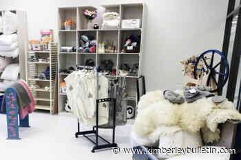 Northern BC business fined $5000 over COVID-19 safety compliance – Kimberley Daily Bulletin - Kimberley Bulletin