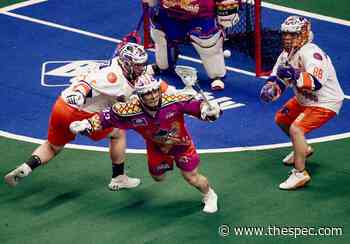 Hot Rock a winner before 10000 fans in Hamilton - Hamilton Spectator